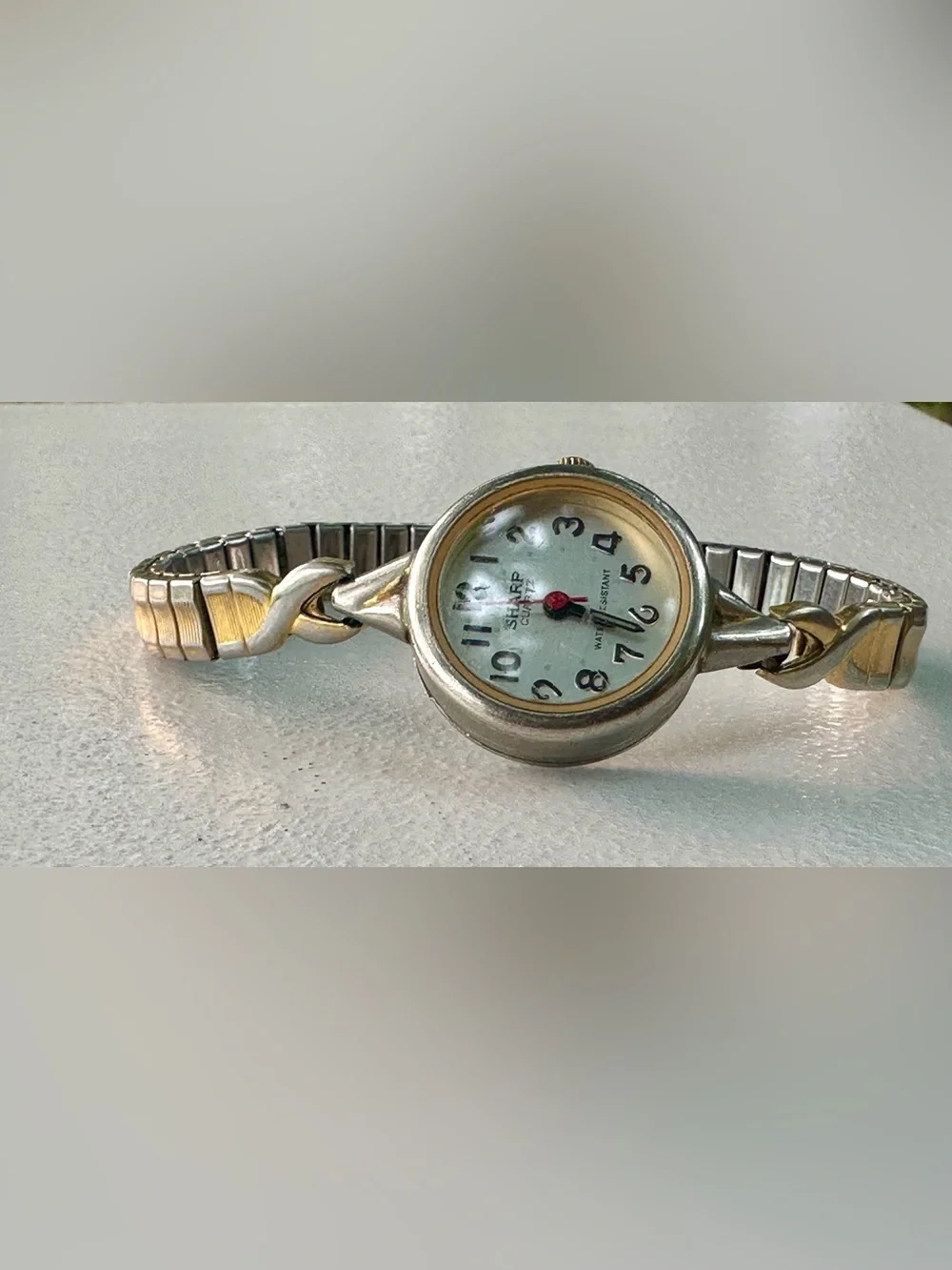 Ladies Two-Tone Round Dial Wristwatch with Expansion Band
